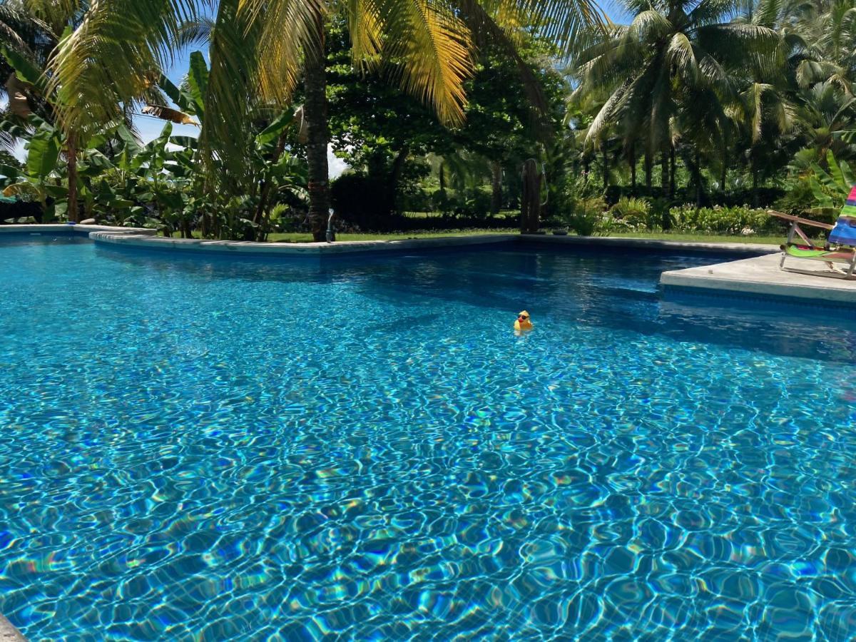 Sand Dollar Beach Bed & Breakfast Bocas Town Exterior photo