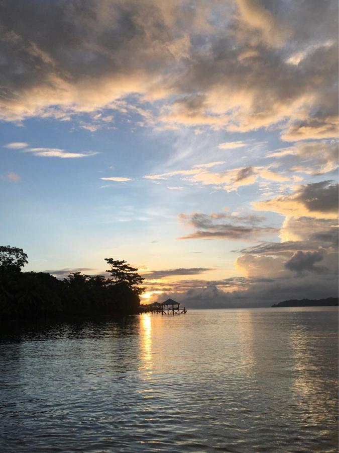 Sand Dollar Beach Bed & Breakfast Bocas Town Exterior photo
