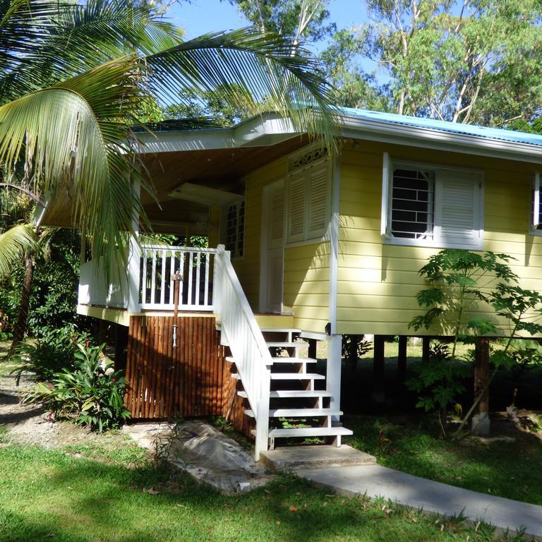 Sand Dollar Beach Bed & Breakfast Bocas Town Room photo