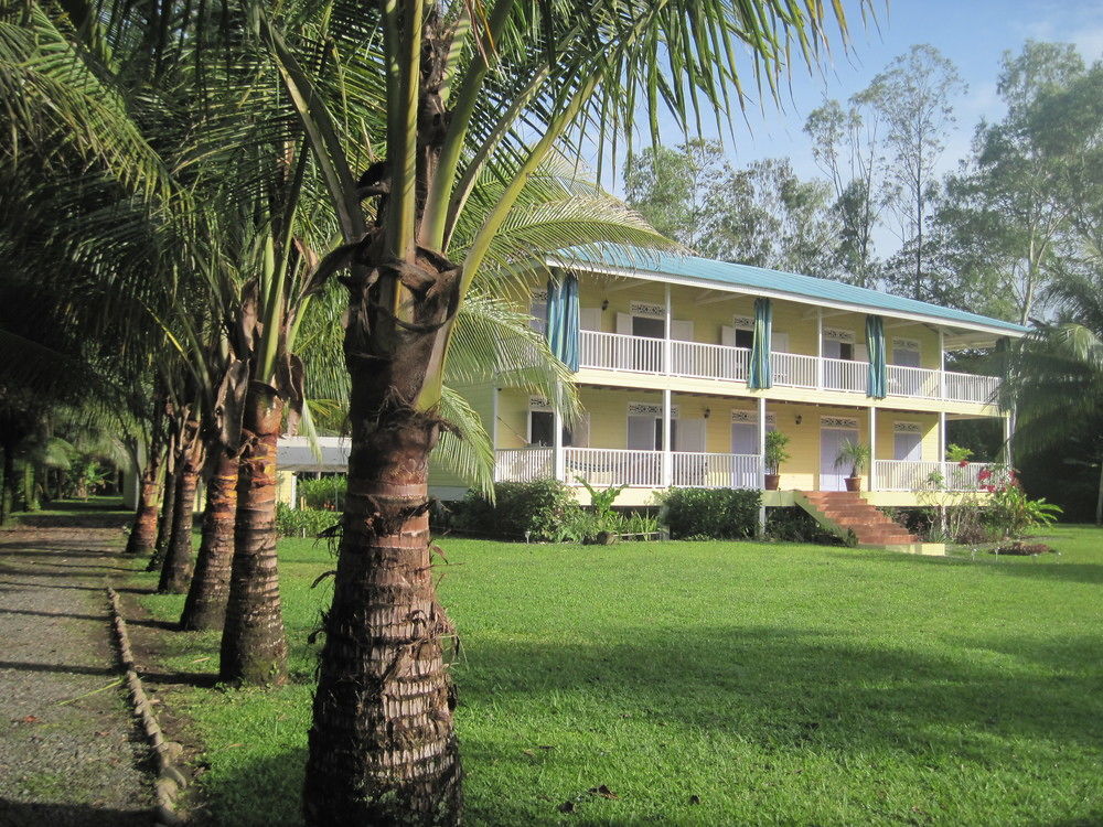 Sand Dollar Beach Bed & Breakfast Bocas Town Exterior photo
