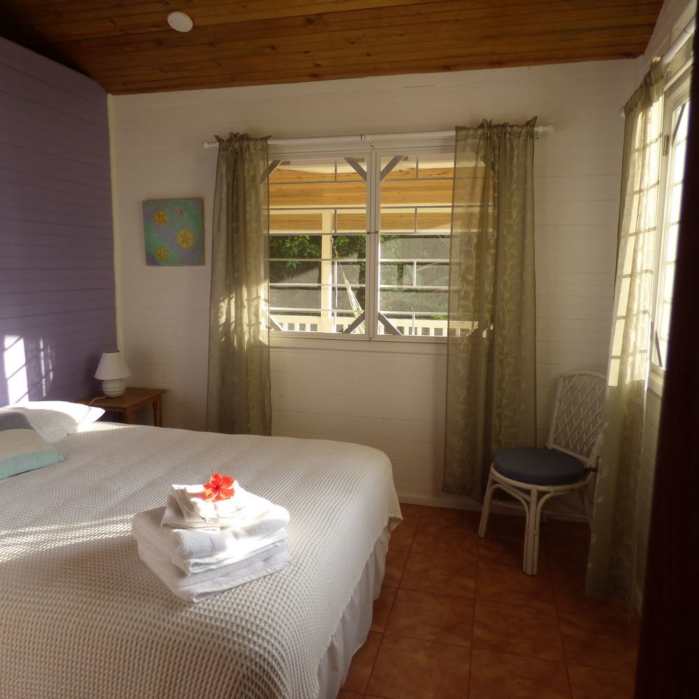 Sand Dollar Beach Bed & Breakfast Bocas Town Exterior photo