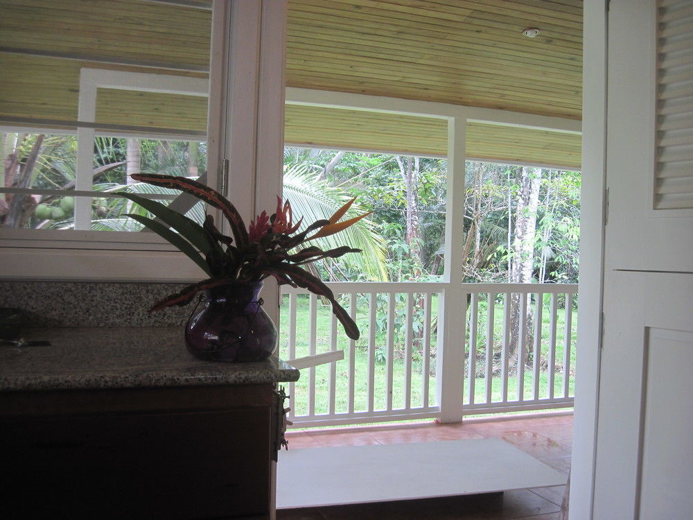 Sand Dollar Beach Bed & Breakfast Bocas Town Exterior photo