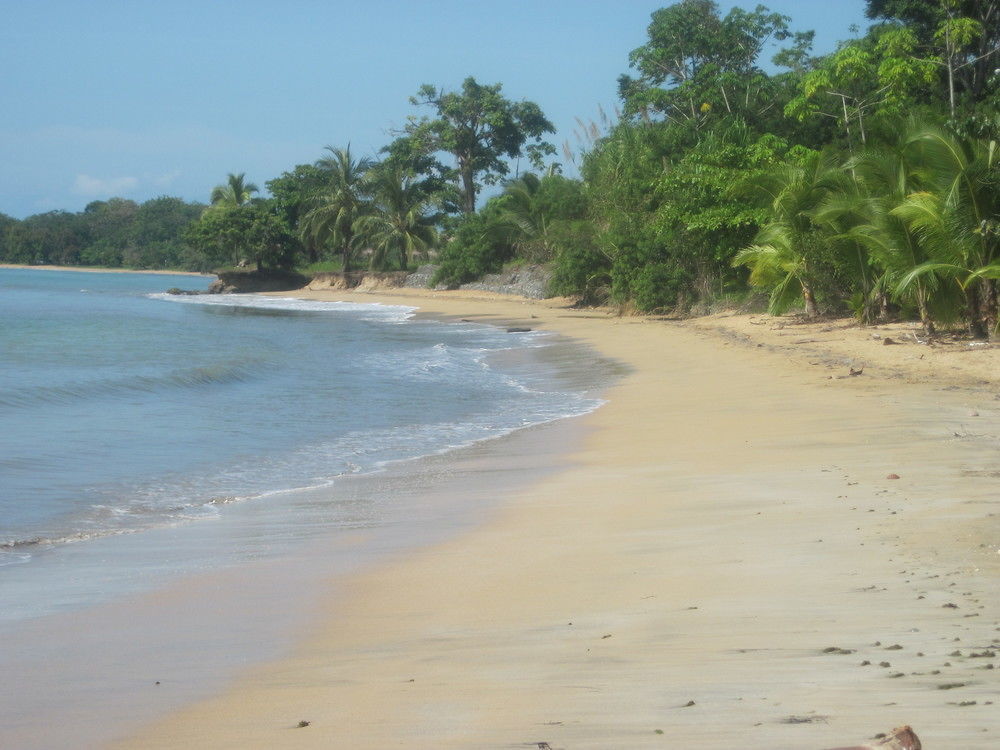 Sand Dollar Beach Bed & Breakfast Bocas Town Exterior photo